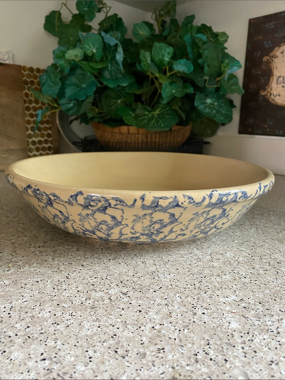Vintage RRP Co. Roseville Pottery 12” Blue/Tan Spongeware Pasta Bowl